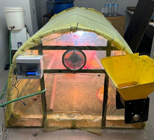 UOB Students Develop Smart Poultry Nursery Prototype